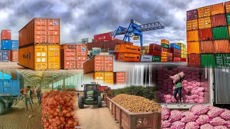 Containers of Indian onions exported to Asia
