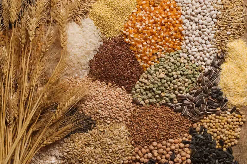 Indian grains and agricultural produce exported to Asia
