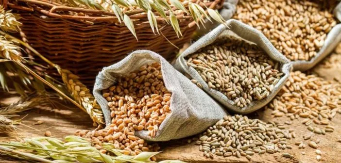 Indian wheat exported to Asia